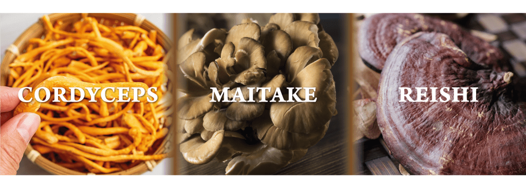 Immunformel (90 kapsulių) Nature's Sunshine NSP Polska